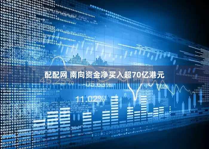 配配网 南向资金净买入超70亿港元