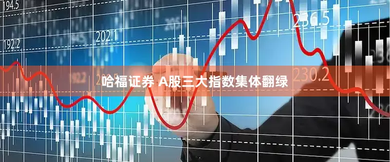 哈福证券 A股三大指数集体翻绿