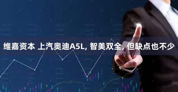 维嘉资本 上汽奥迪A5L, 智美双全, 但缺点也不少