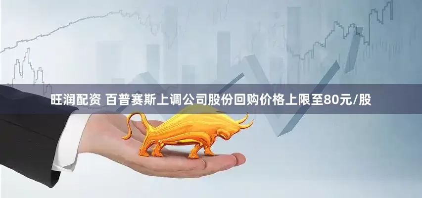旺润配资 百普赛斯上调公司股份回购价格上限至80元/股