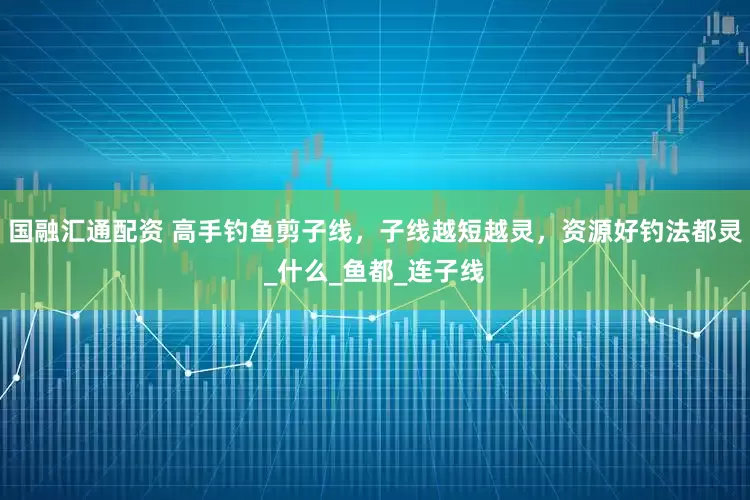 国融汇通配资 高手钓鱼剪子线，子线越短越灵，资源好钓法都灵_什么_鱼都_连子线
