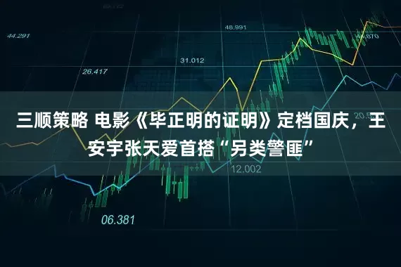 三顺策略 电影《毕正明的证明》定档国庆，王安宇张天爱首搭“另类警匪”