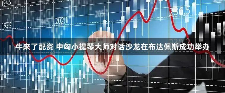 牛来了配资 中匈小提琴大师对话沙龙在布达佩斯成功举办