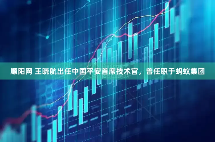 顺阳网 王晓航出任中国平安首席技术官，曾任职于蚂蚁集团